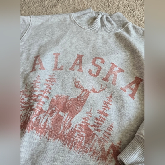 Aerie Alaska Mock Neck Sweatshirt In Gray Color - Picture 4 of 11